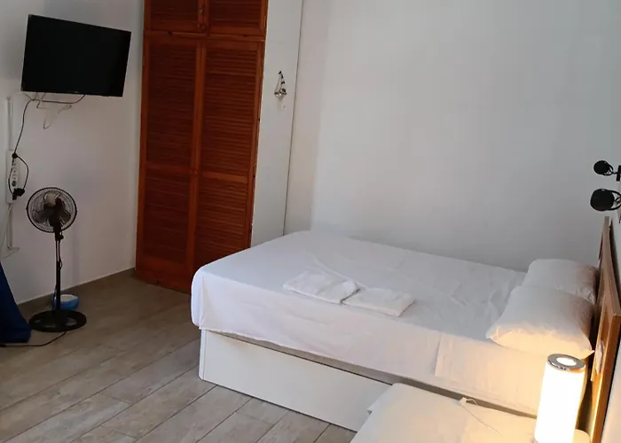 Luminous Cute By The & Harbour